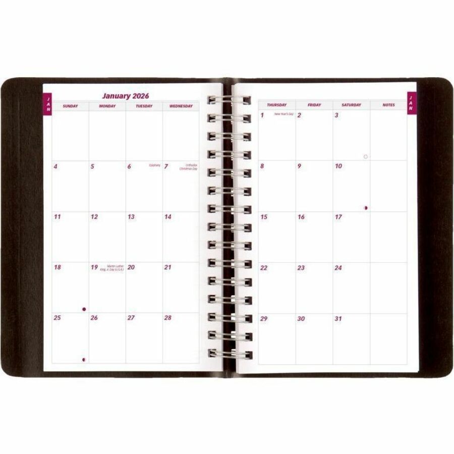 Brownline Daily PlannerPlus Appointment Book/Planner