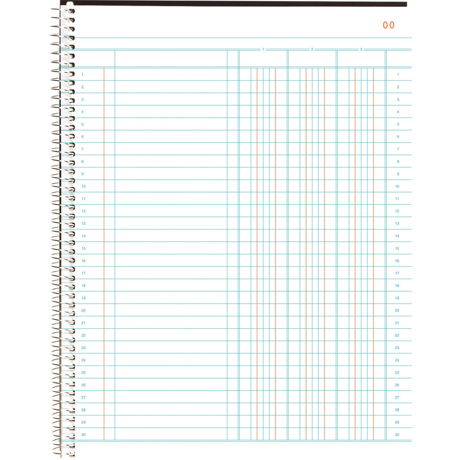 Blueline 797 Series Accounting Book