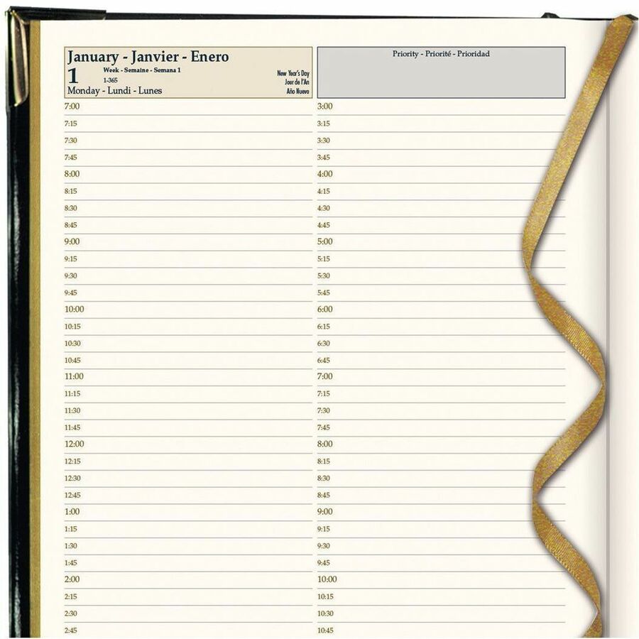 Brownline Executive Daily Planner, 10-7/8" x 7-5/8" , Trilingual, Black