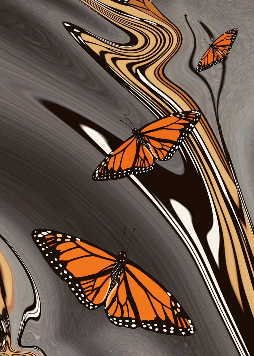 Indigenous Collection 6x9" Art Cards