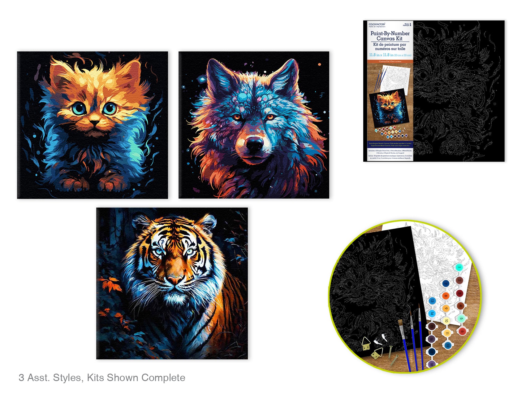Kits de Peinture par Numéros sur Toile Noire