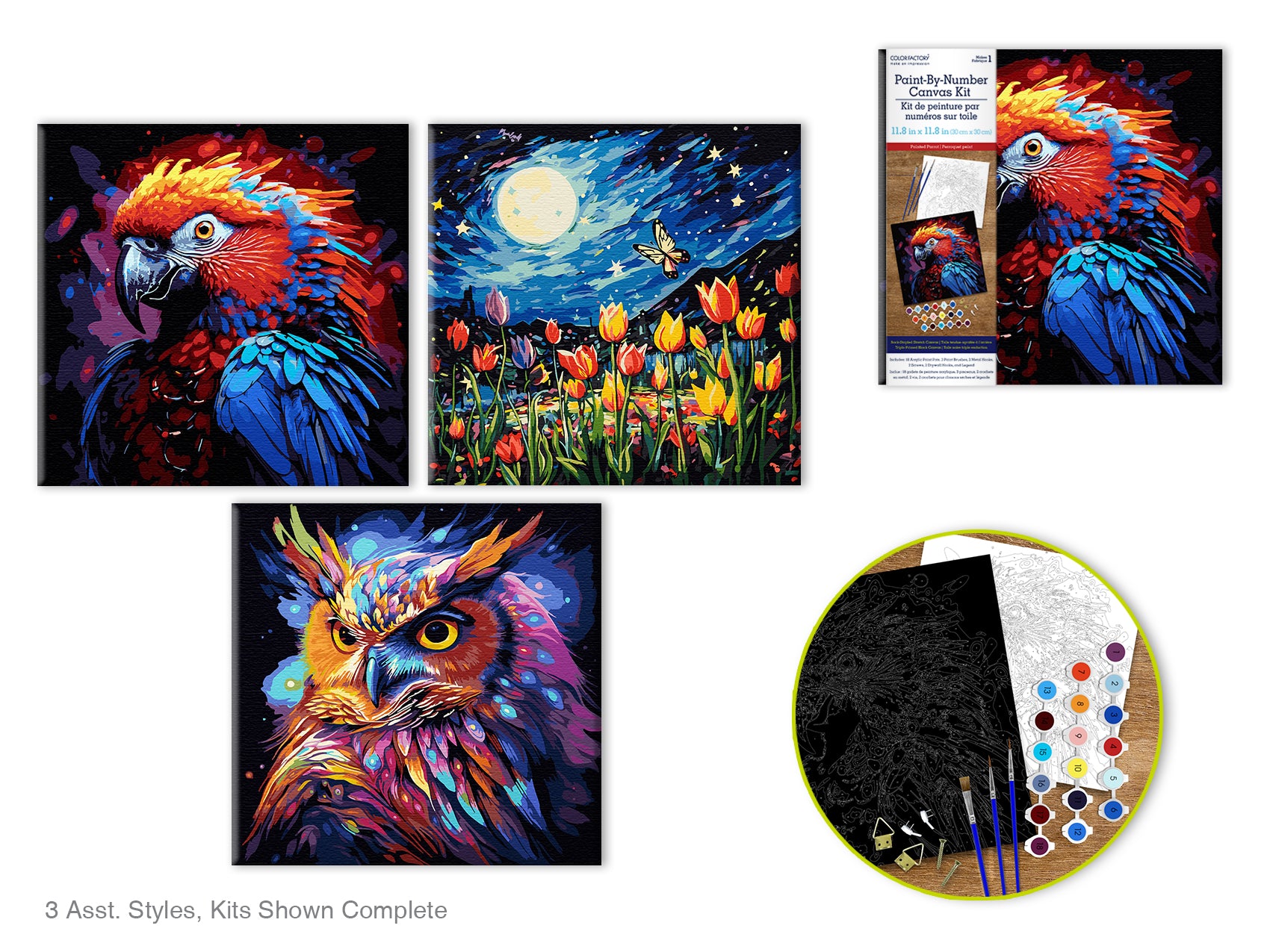 Kits de Peinture par Numéros sur Toile Noire
