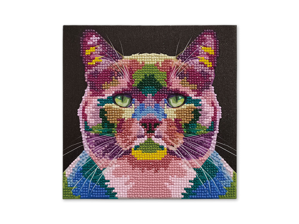 Diamond Art Stretched Canvas Kits