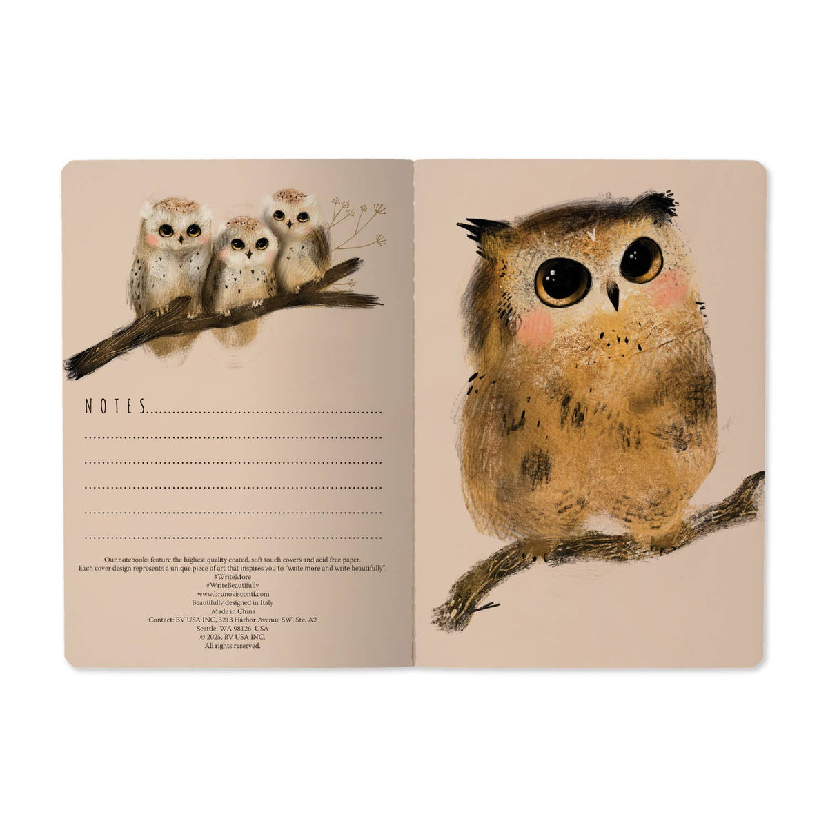 Bruno Visconti Owlets lined notebook, view 3