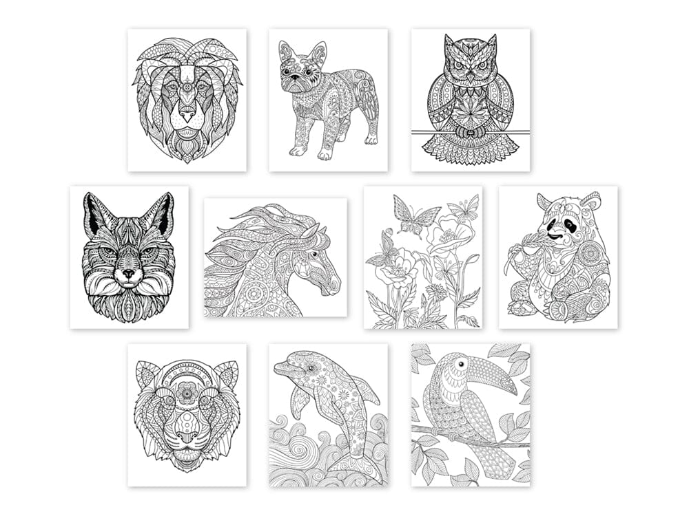 Printed Canvas Pads
