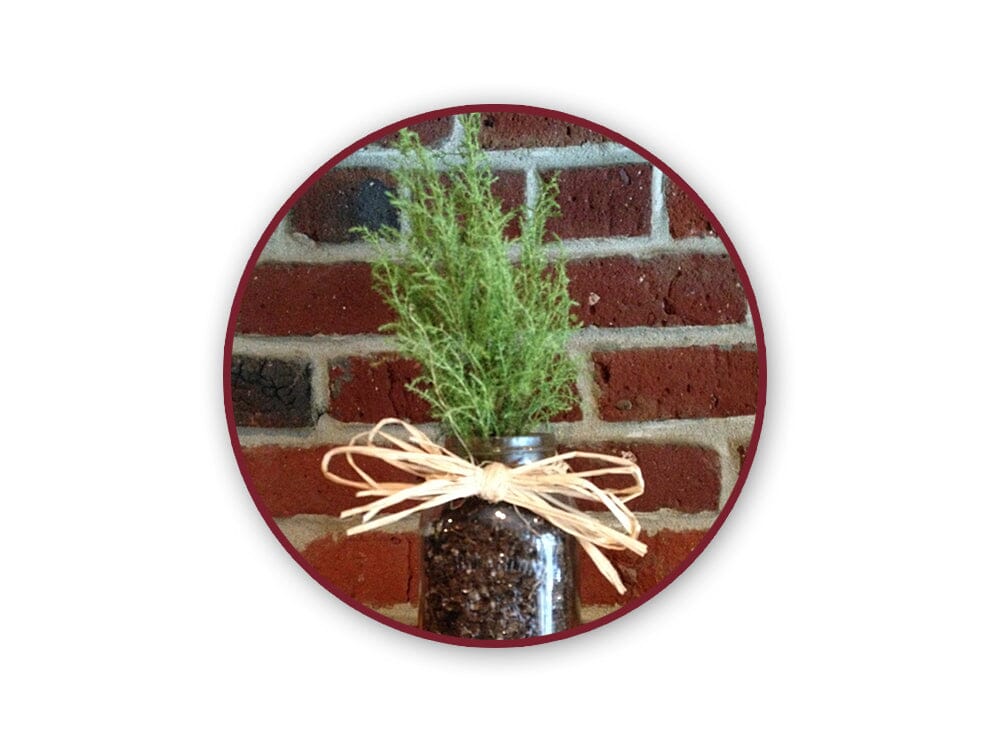 Natural Raffia 2oz