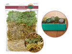 Craft Decor Dried Moss Variety Pack — Reindeer, Spanish & Micro-Strand, 20 g Each