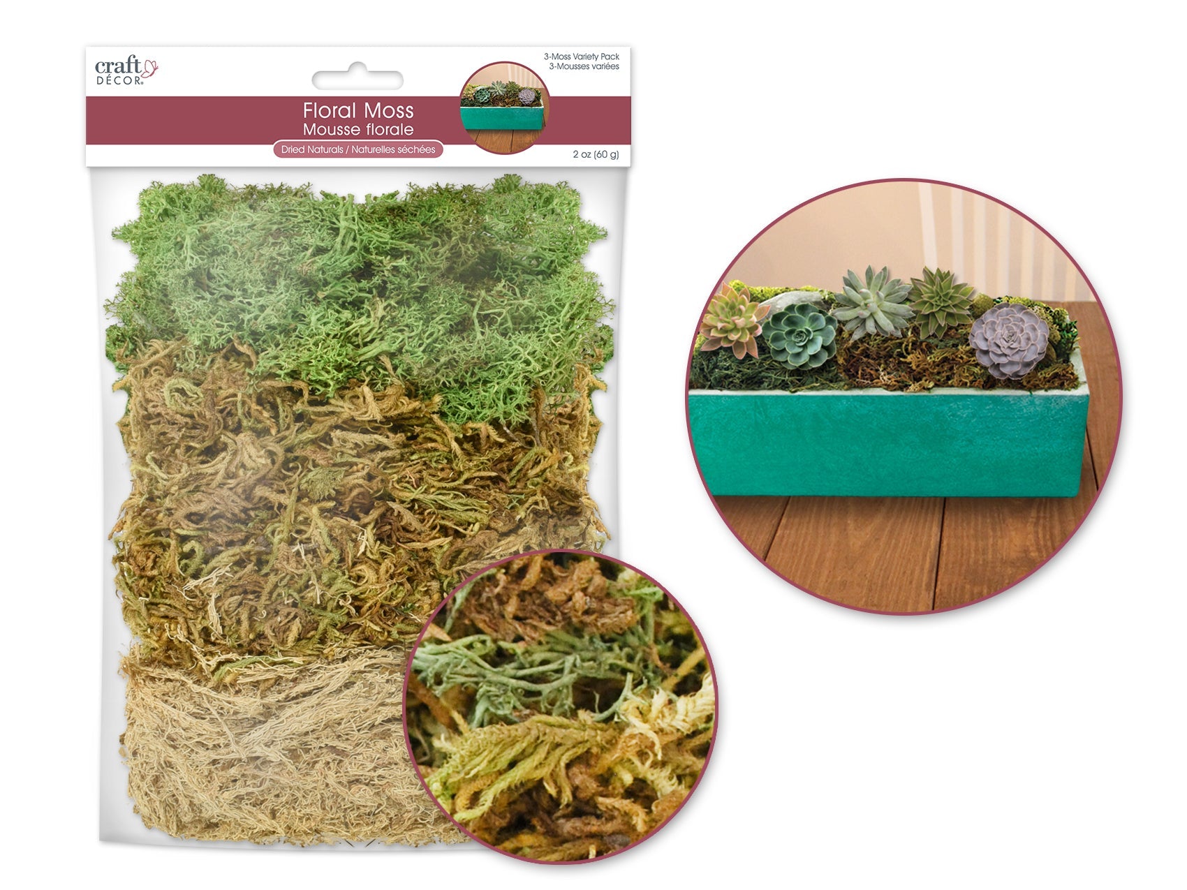 Dried Moss