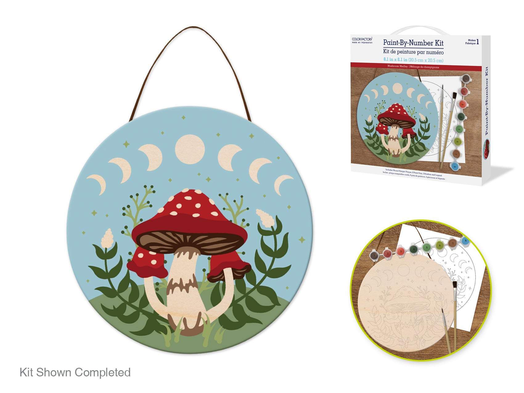 Paint-By-Numbers Hanging Plaque Kits