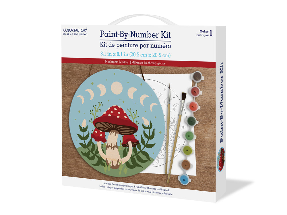 Paint-By-Numbers Hanging Plaque Kits