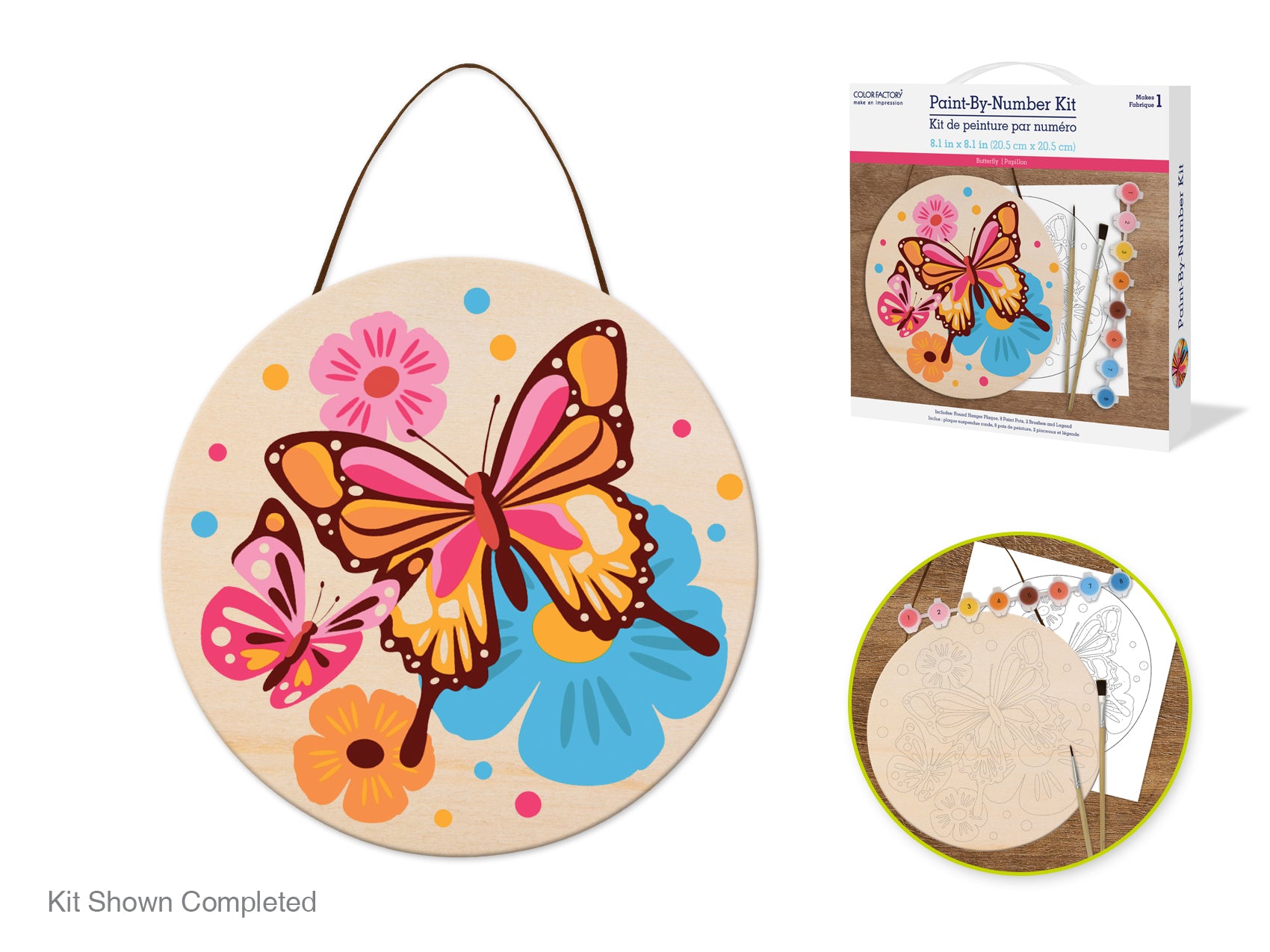 Paint-By-Numbers Hanging Plaque Kits