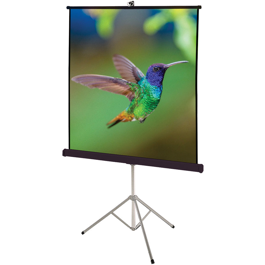 Quartet Manual Projection Screen