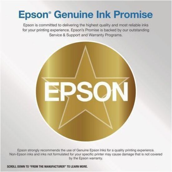 Epson Original Ink Cartridge - EPST606900