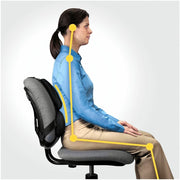 Fellowes Professional Series Back Support with Microban® Protection