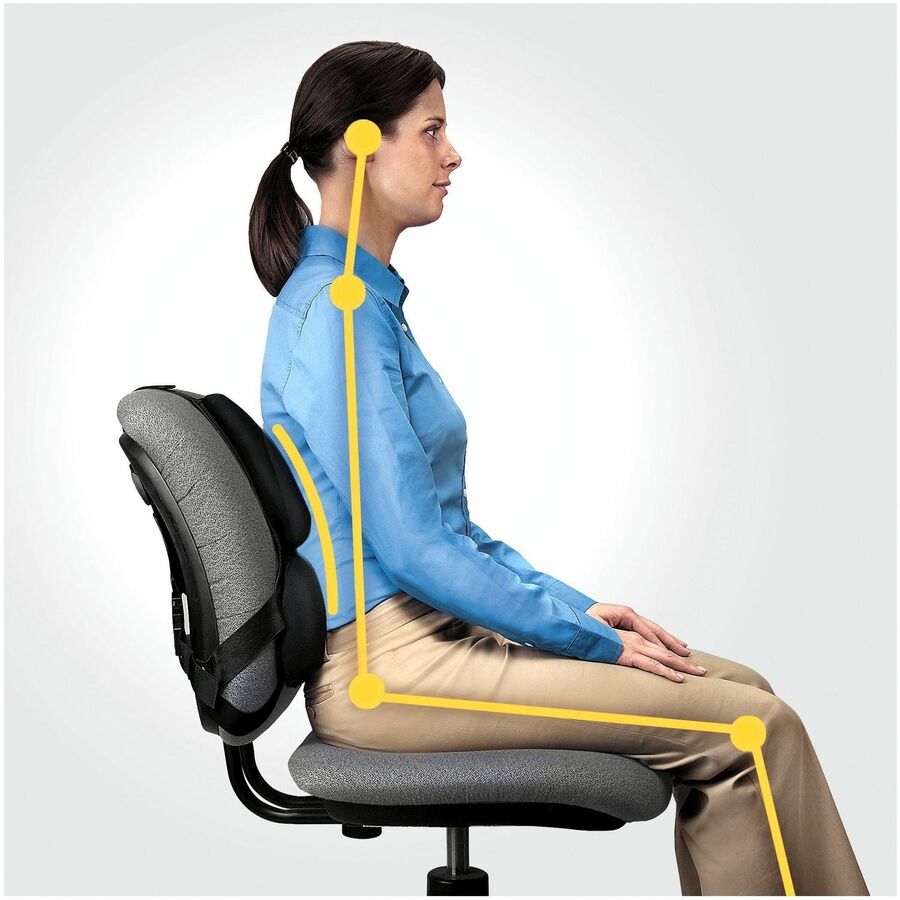 Fellowes Professional Series Back Support with Microban® Protection