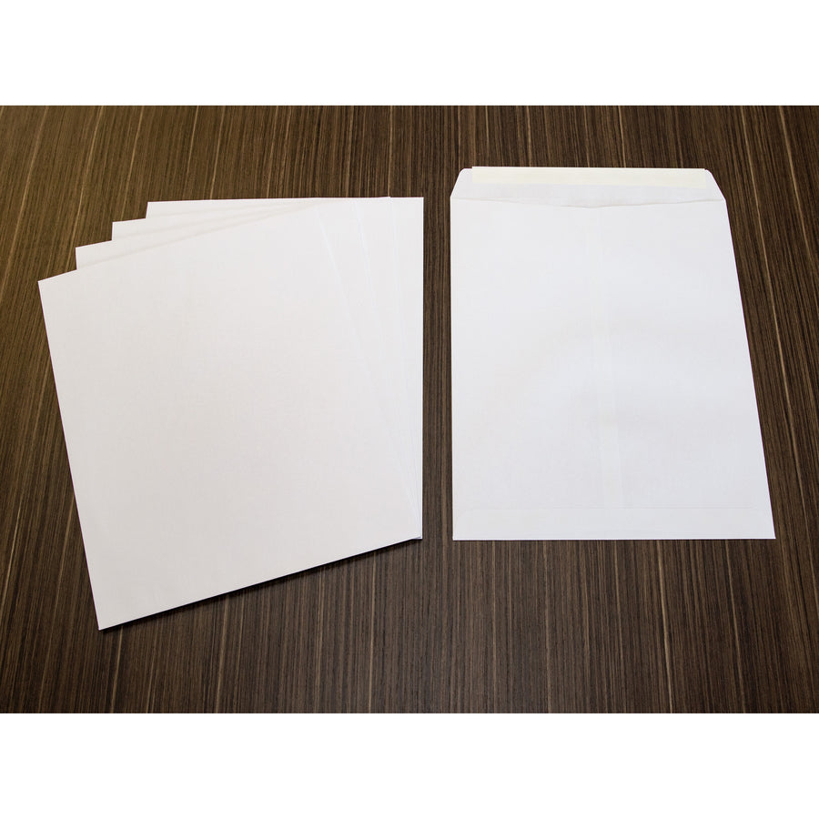 Business Source Self-Sealing Catalog Envelopes 10 x 13, 28 lb — Box of 100