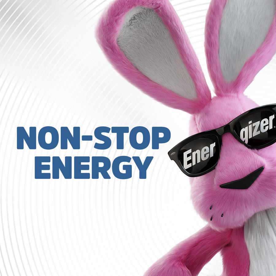 Energizer Coin Cell Lithium General Purpose Battery (Model 2)