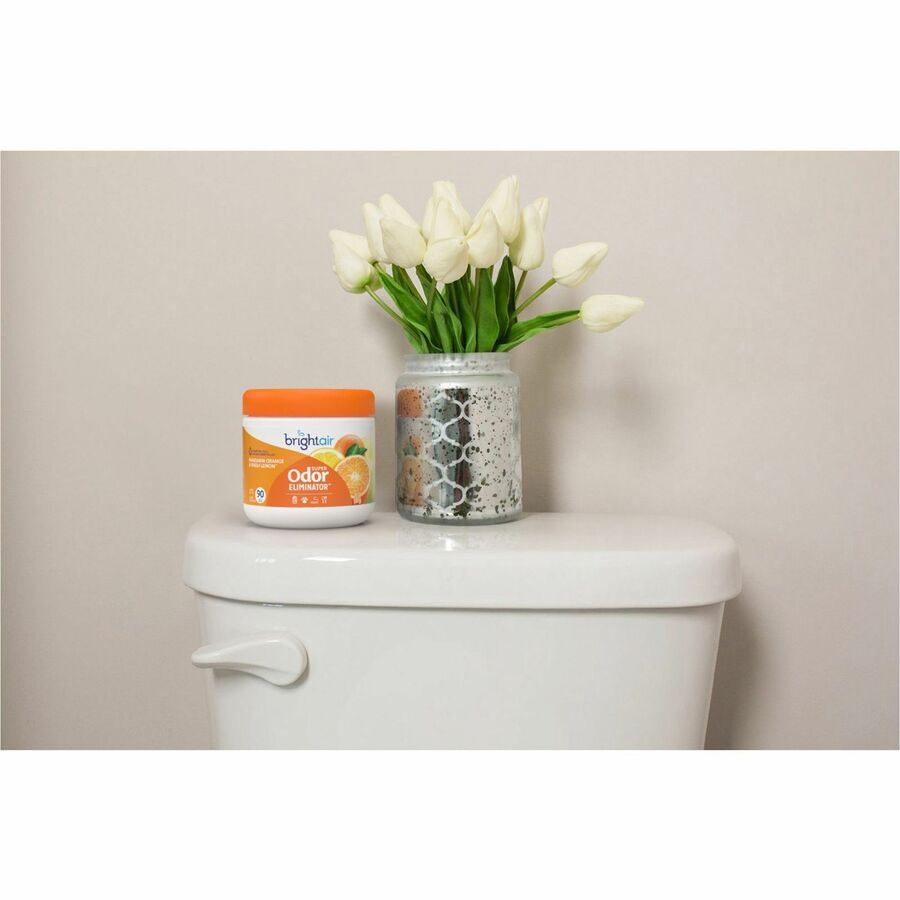 Bright Air Super Odor Eliminator Air Freshener (Model 1)