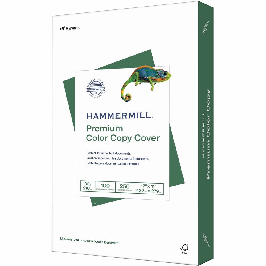 Hammermill 8.5 x 11 Papier de Couverture pour Copie Couleur Premium 60 LB 250 Feuilles
