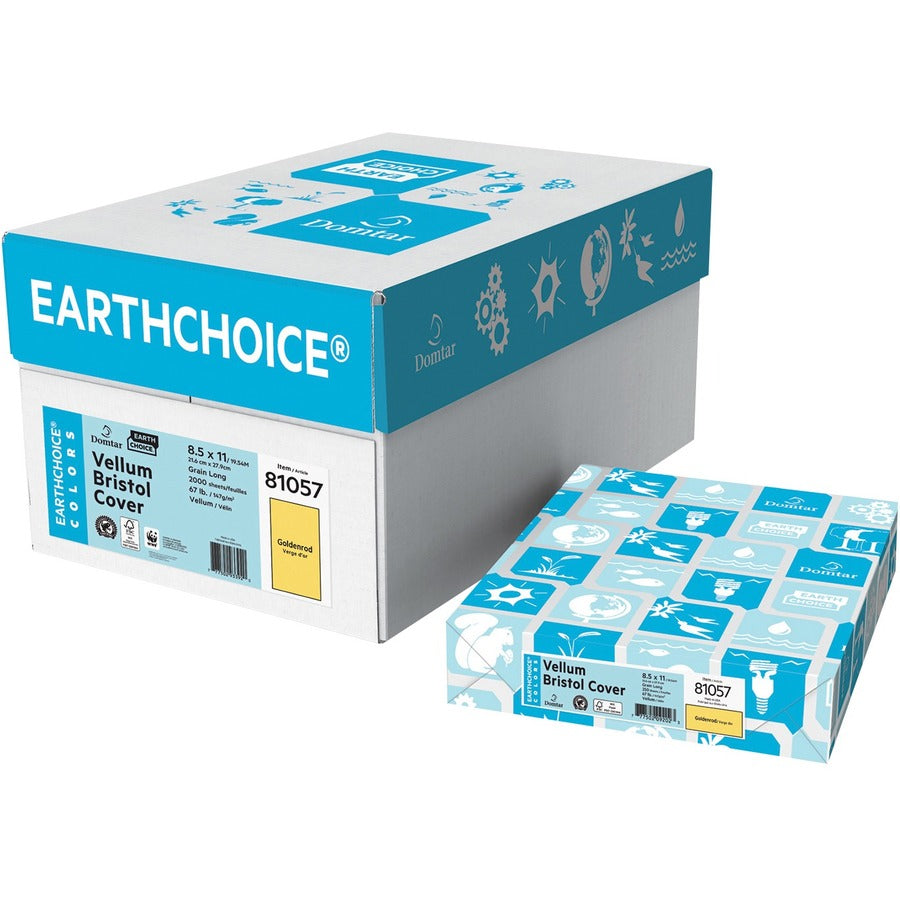 Papier fort EarthChoice Couleurs Vellum Bristol - Gris