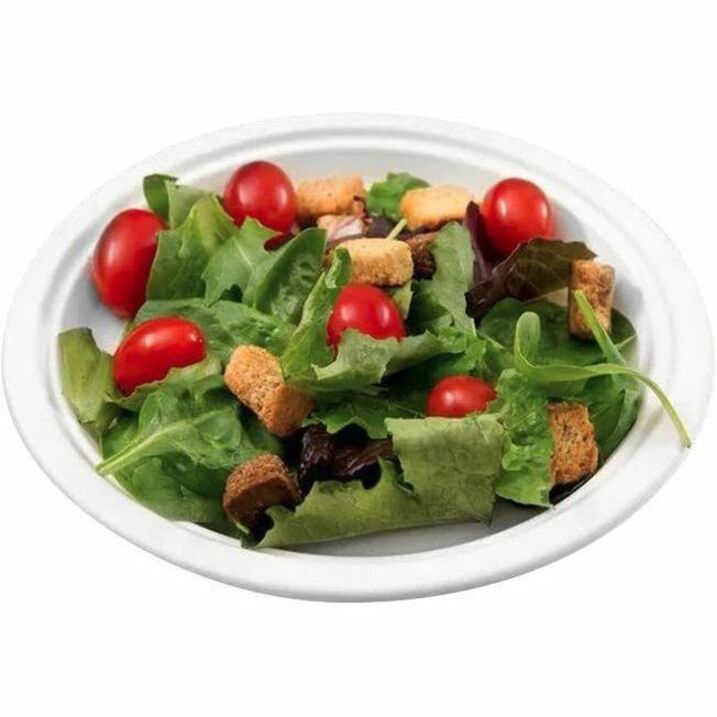 Assiettes compostables Globe - GCP6023