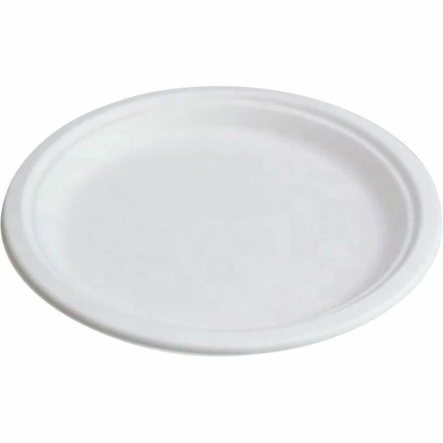 Assiettes compostables Globe - GCP6023