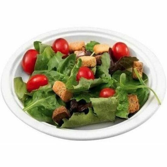 Assiettes compostables Globe - GCP6023