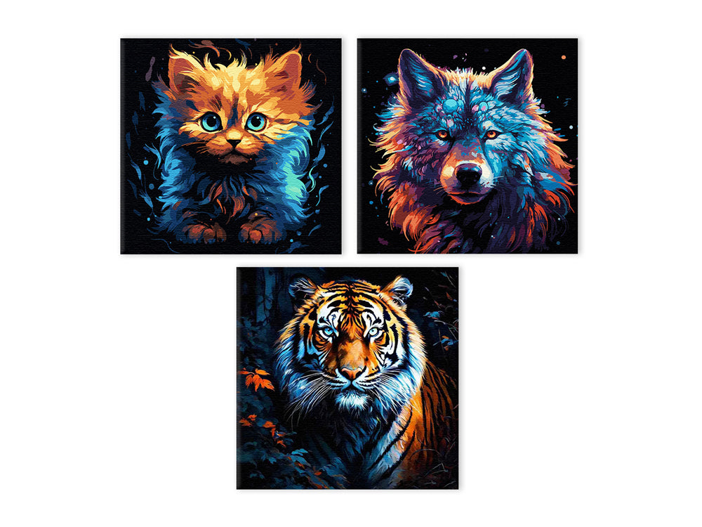 Kits de Peinture par Numéros sur Toile Noire