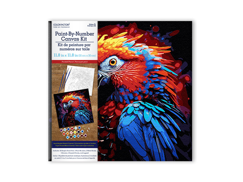 Paint-By-Numbers Black Canvas Kits