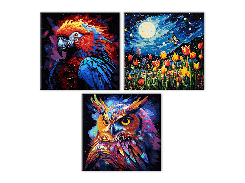 Kits de Peinture par Numéros sur Toile Noire
