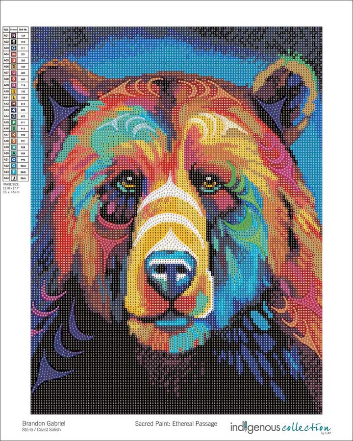 Kits de broderie diamant design autochtone