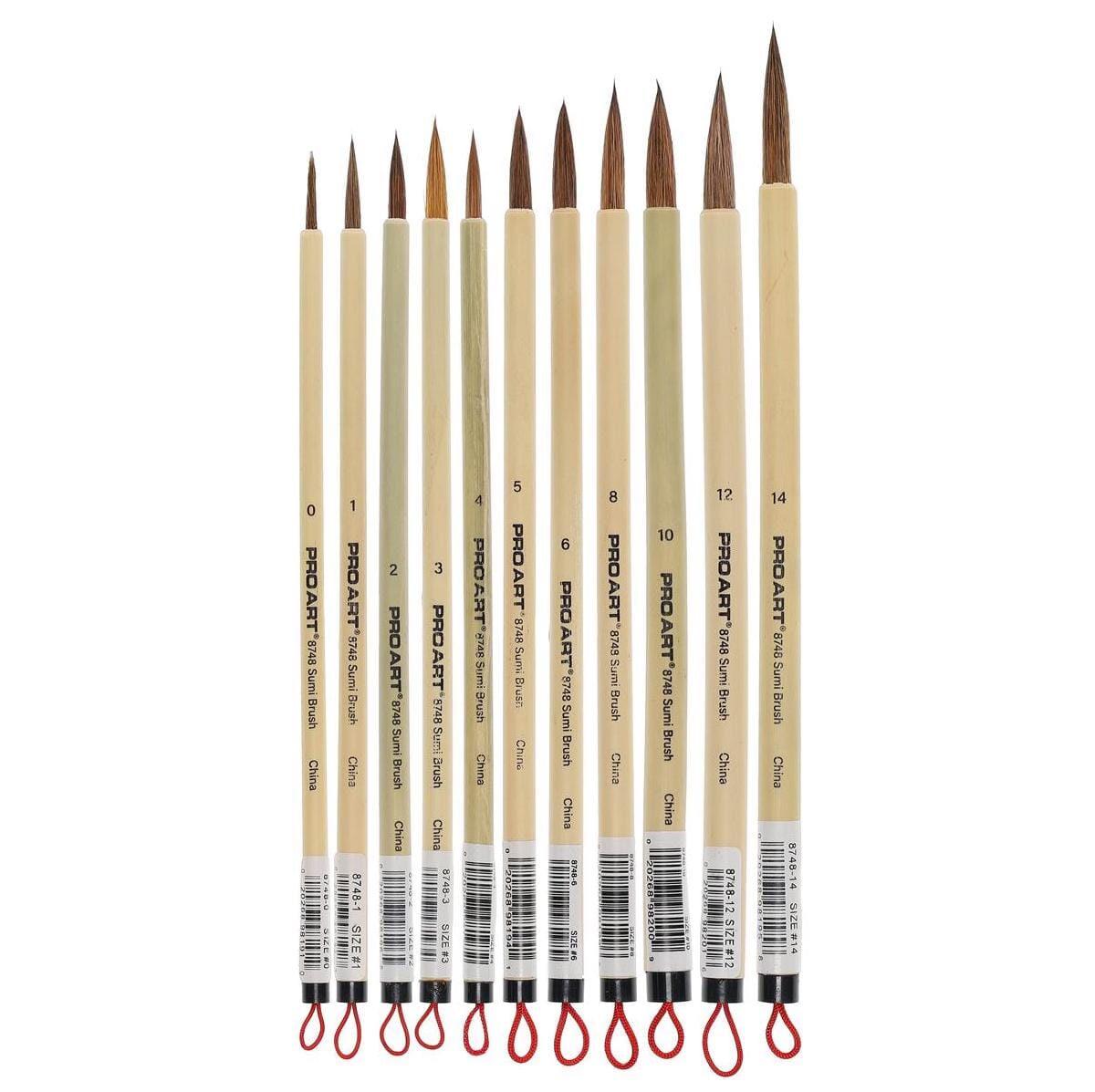 Student Bamboo Calligraphy Brushes