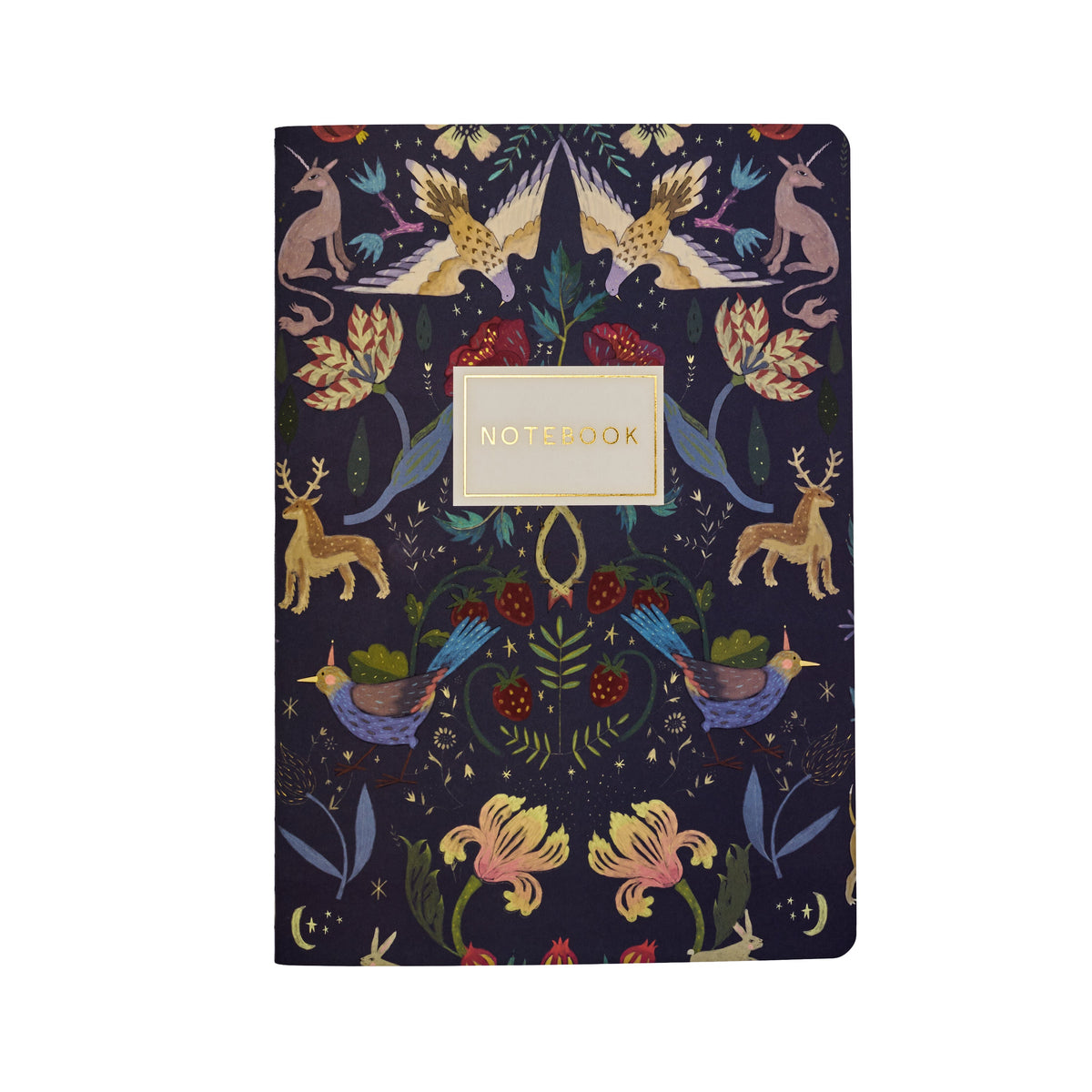 Bruno Visconti Fairytale lined notebook, cover