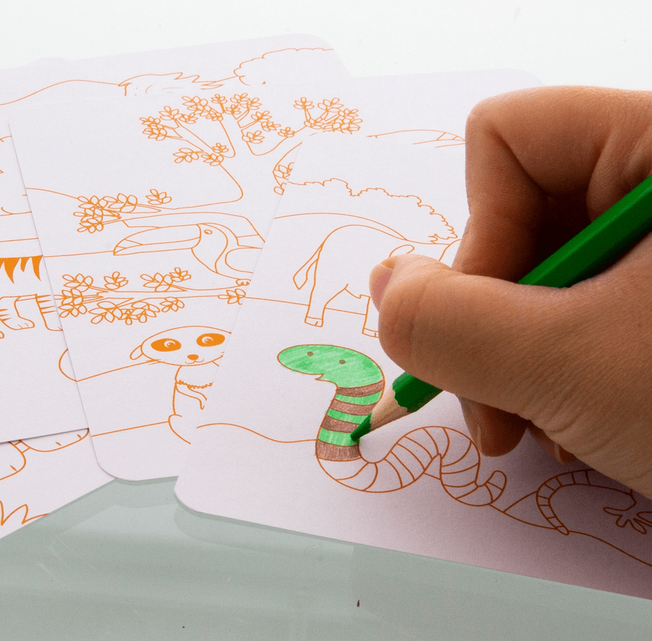 Sticker and Activity Sets