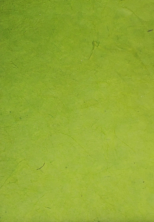 Lokta Papers 20" x 30"