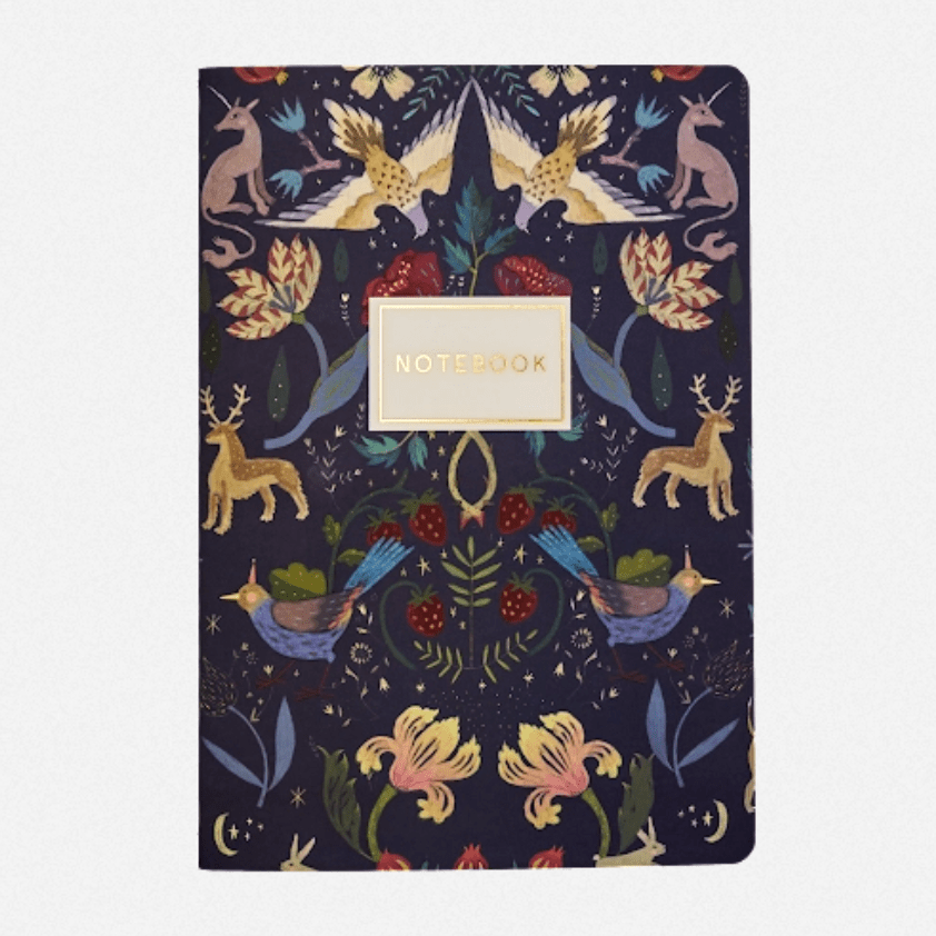 Bruno Visconti Fairytale lined notebook