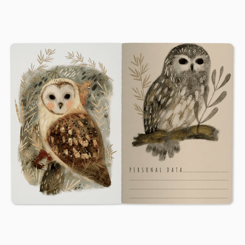 Notebook - Owls