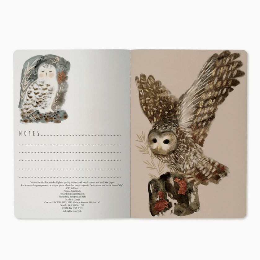 Notebook - Owls