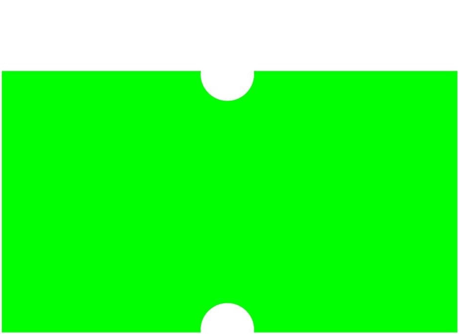 Celamark Fluorescent Green Pricing Gun Labels, 10 Rolls / 10,000 Labels