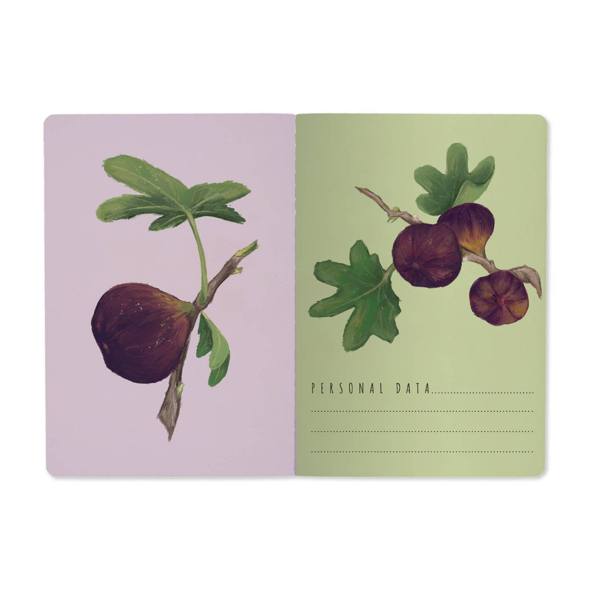 Bruno Visconti Figs on White lined notebook, view 2