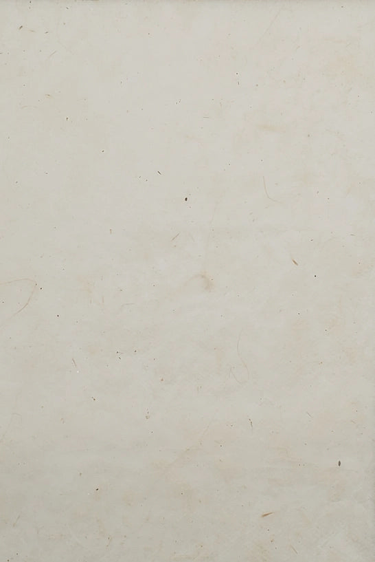 Lokta Papers 20x30"