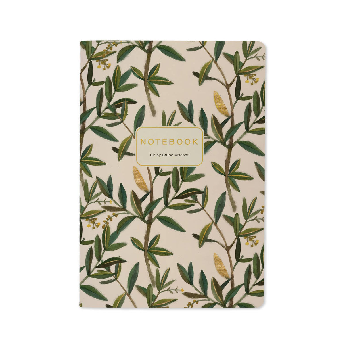 Bruno Visconti Olive lined notebook, cover