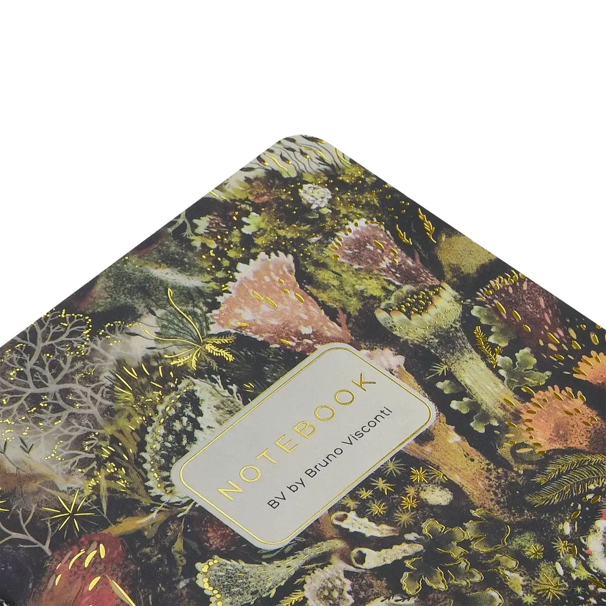 Bruno Visconti Forest Floor lined notebook, view 3