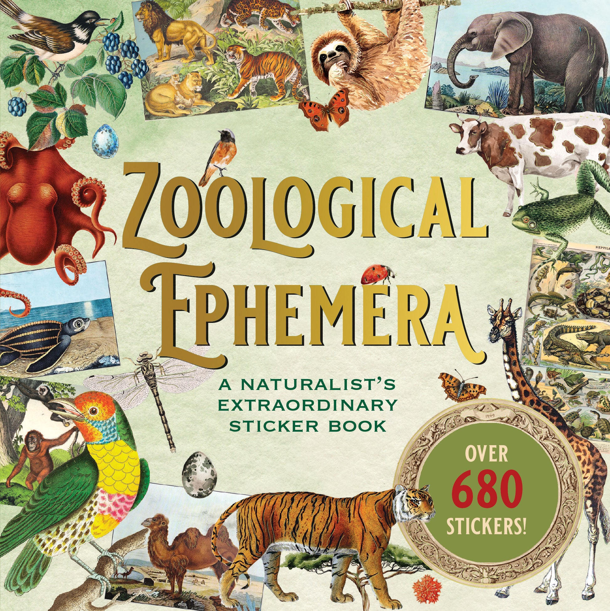 Deluxe Sticker Books