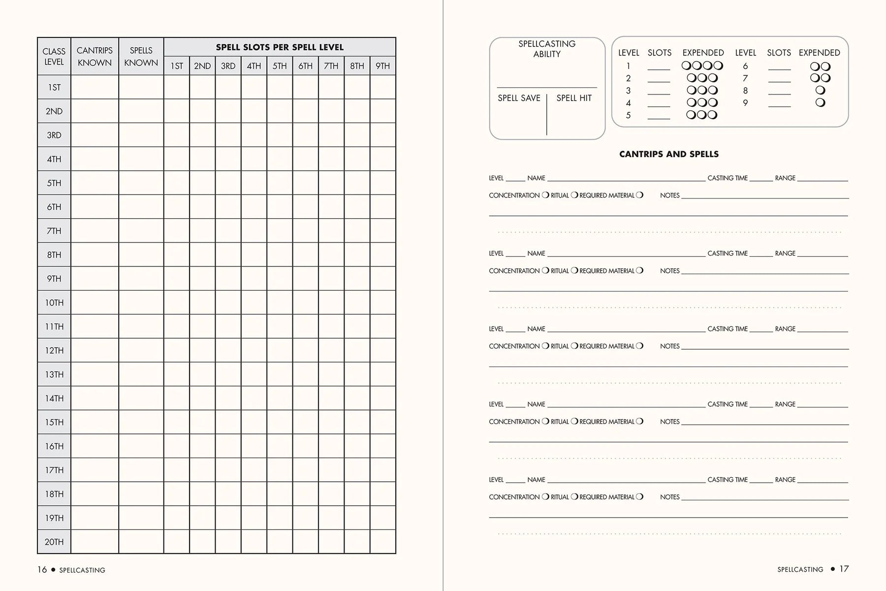 Campaign Journal