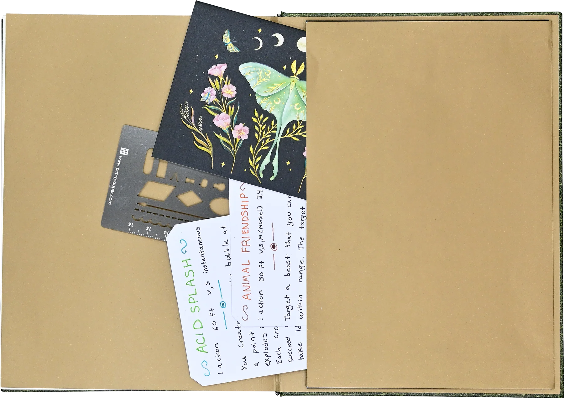 Campaign Journal