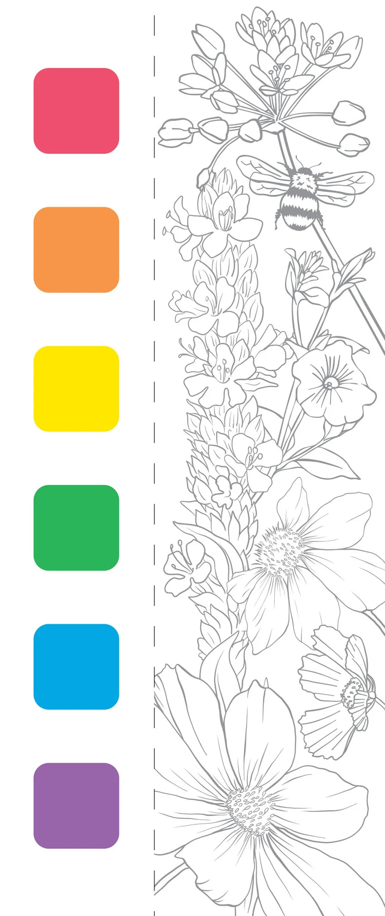 Watercolour Painting Kits