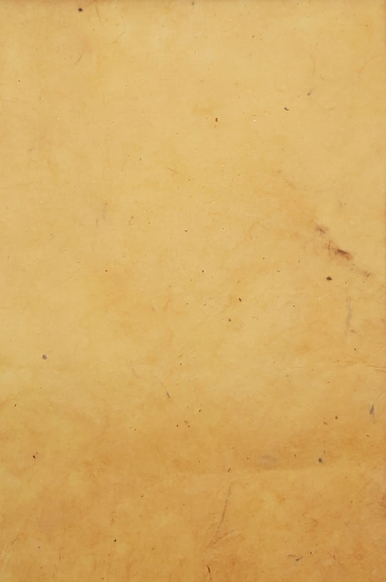 Lokta Papers 20x30"