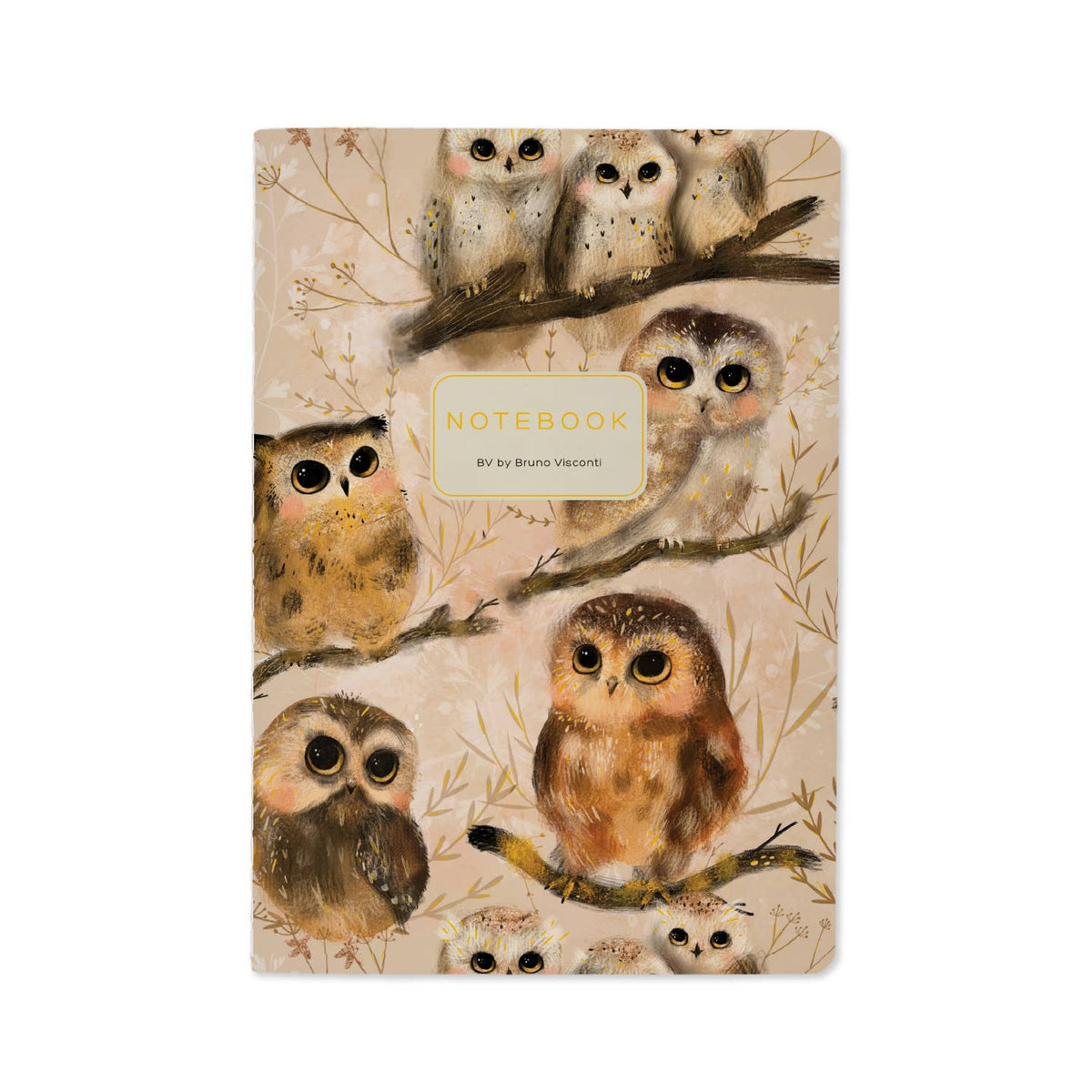 Bruno Visconti Owlets lined notebook, cover