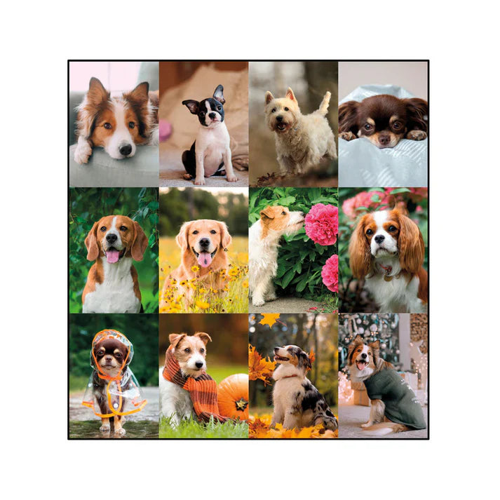 Calendrier de bureau mensuel Blueline Man's Best Friend 22"x 17", bilingue